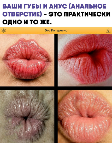 Мем: ВСПОМИНАЙТЕ КОГДА БУДЕТЕ ЦЕЛОВАТЬСЯ!