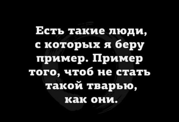 Мем, Алекс Гудков Мем, Алекс Гудков