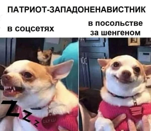 Мем, Diogenes Мем, Diogenes
