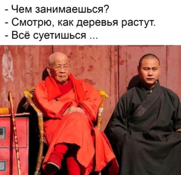 Мем, судьяКригс