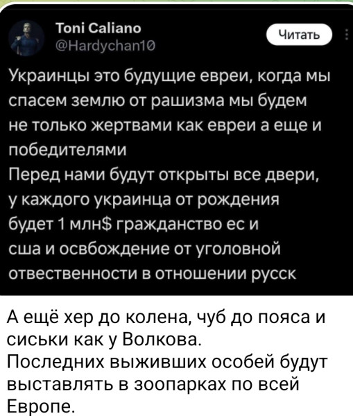 Мем, Максим Камерер