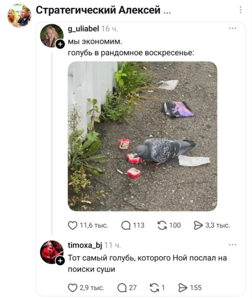 Мем, Bassplayer Мем, Bassplayer