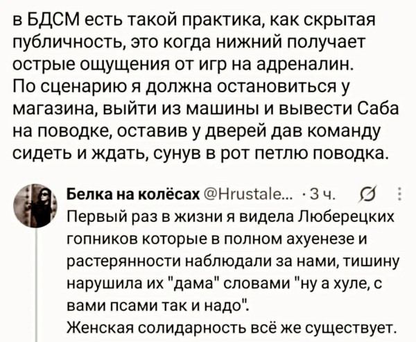 Мем: Так и надо, Правдоруб Адекват