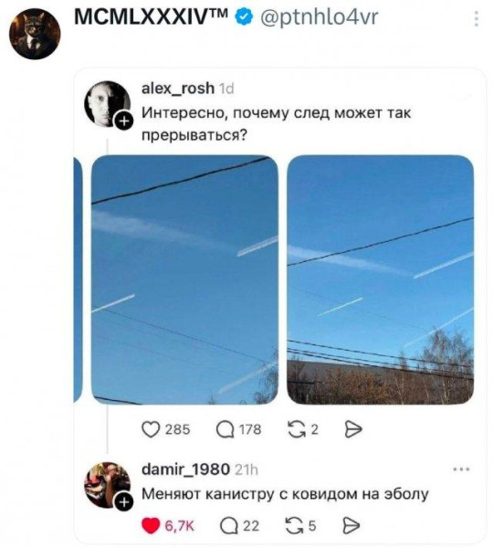 Мем, Bassplayer Мем, Bassplayer