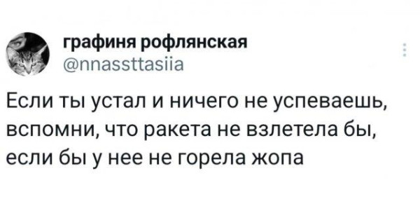 Мем, Bassplayer Мем, Bassplayer