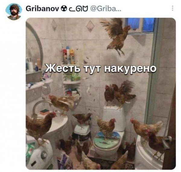 Мем, Bassplayer Мем, Bassplayer