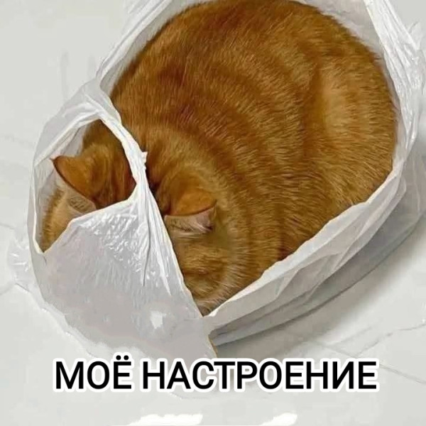 Мем, Рысь Мем, Рысь