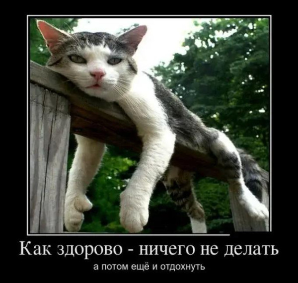 Мем, Антиклептократ Мем, Антиклептократ