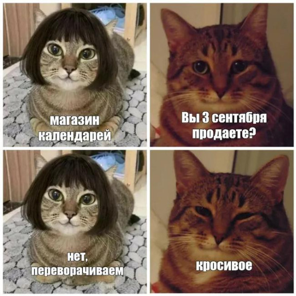 Мем, Антиклептократ Мем, Антиклептократ