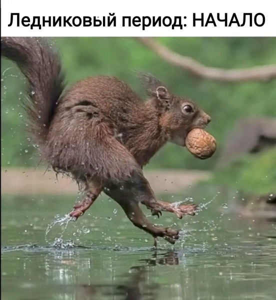 Мем, Рысь Мем, Рысь