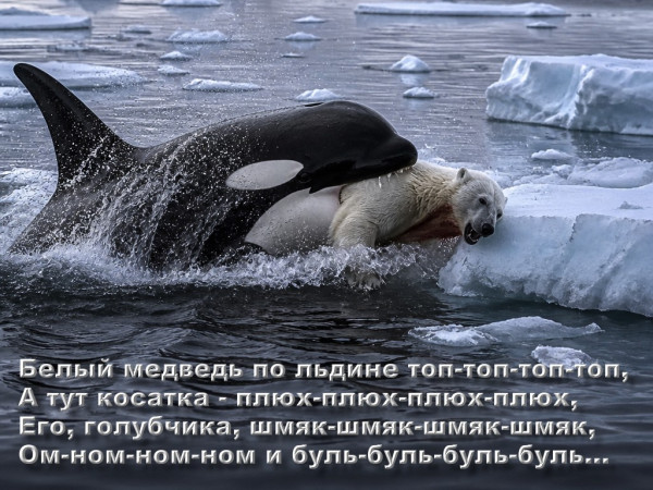Мем: Как косатки медведей едят, Граганьяру