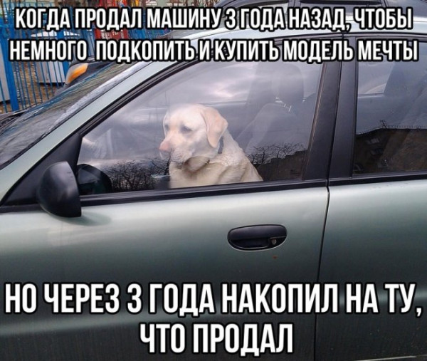 Мем: Приколы для настроения, iteam Мем: Приколы для настроения, iteam
