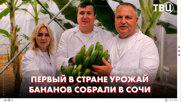 Мем, Алекс Гудков