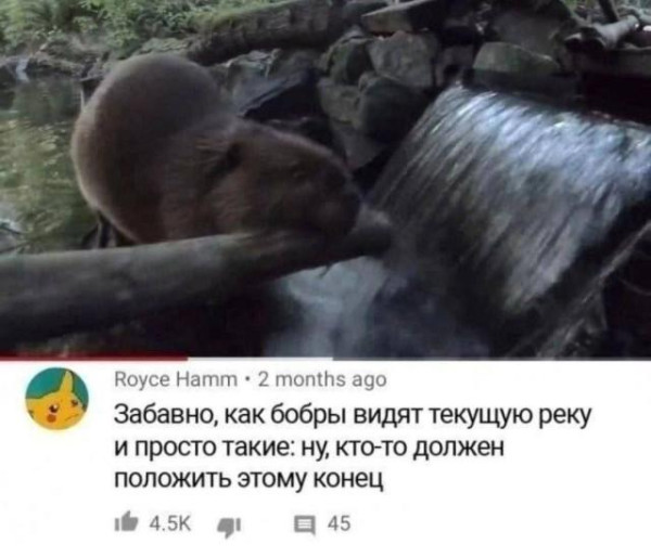 Мем, Bassplayer