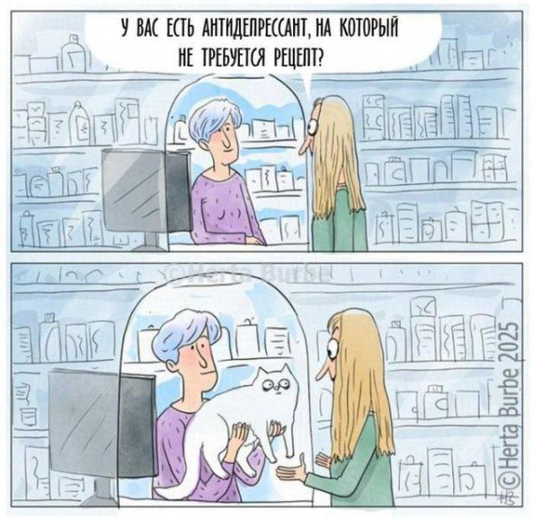 Мем, Антиклептократ