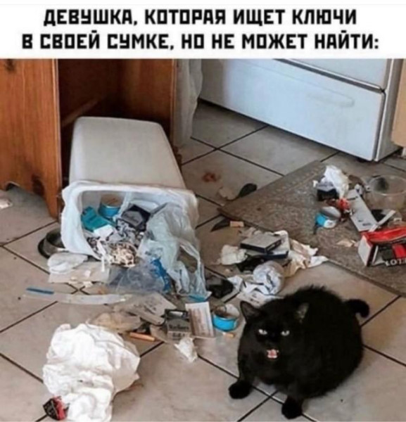 Мем, Антиклептократ