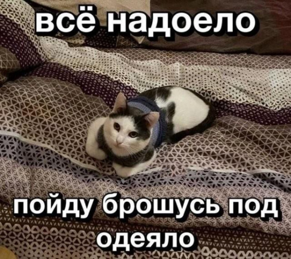 Мем, Антиклептократ