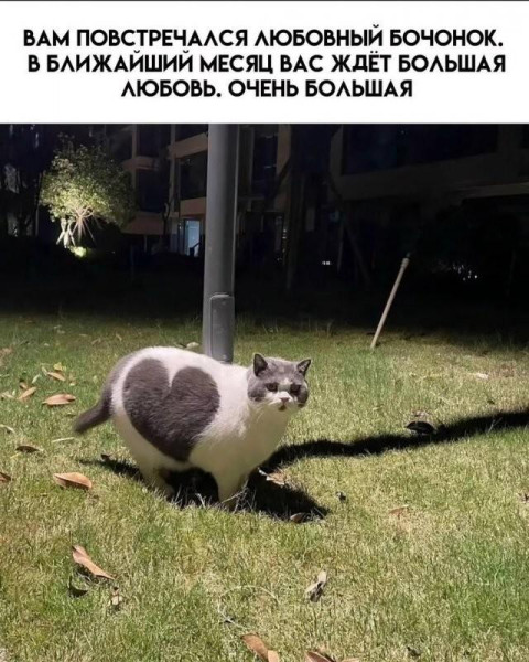 Мем, Антиклептократ