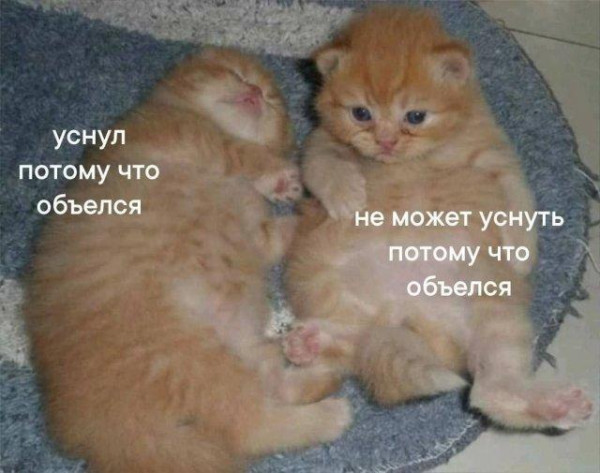 Мем: уснул, уснуть,, Антиклептократ