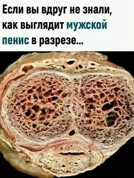 Мем, Jonas Мем, Jonas