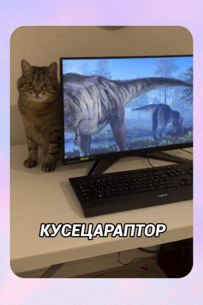 Мем, Антиклептократ Мем, Антиклептократ
