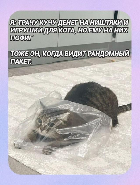 Мем, Антиклептократ Мем, Антиклептократ