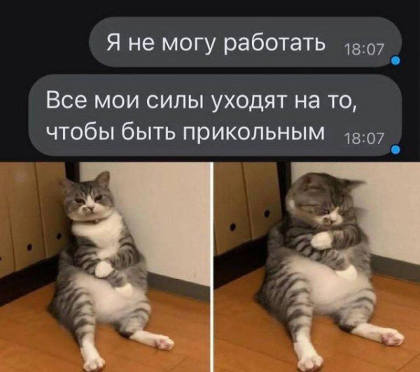 Мем, Антиклептократ Мем, Антиклептократ