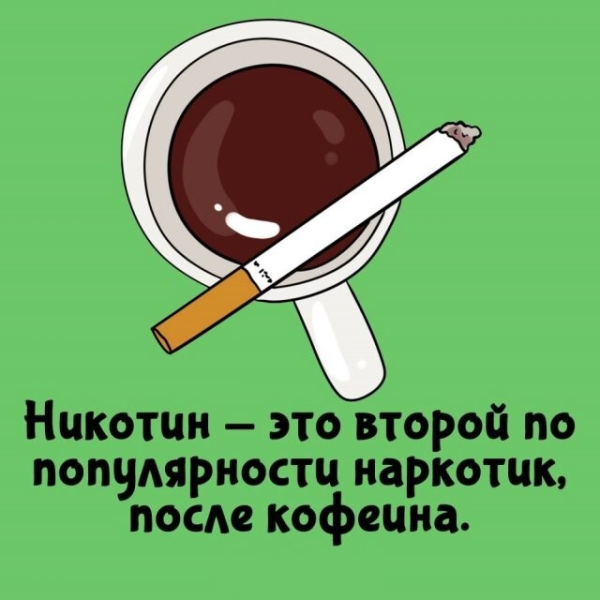 Мем: наркотик после, Антиклептократ Мем: наркотик после, Антиклептократ