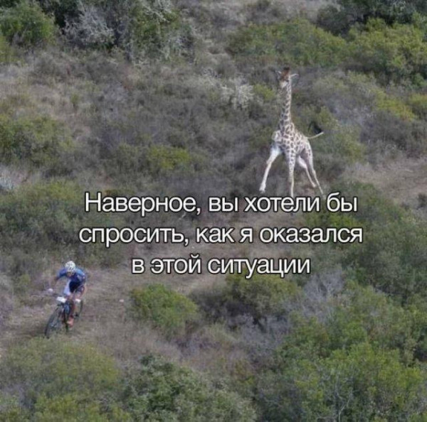 Мем, Антиклептократ Мем, Антиклептократ