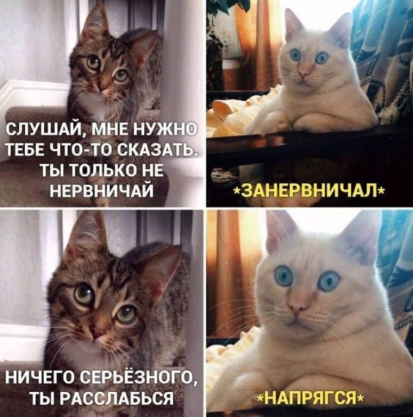 Мем