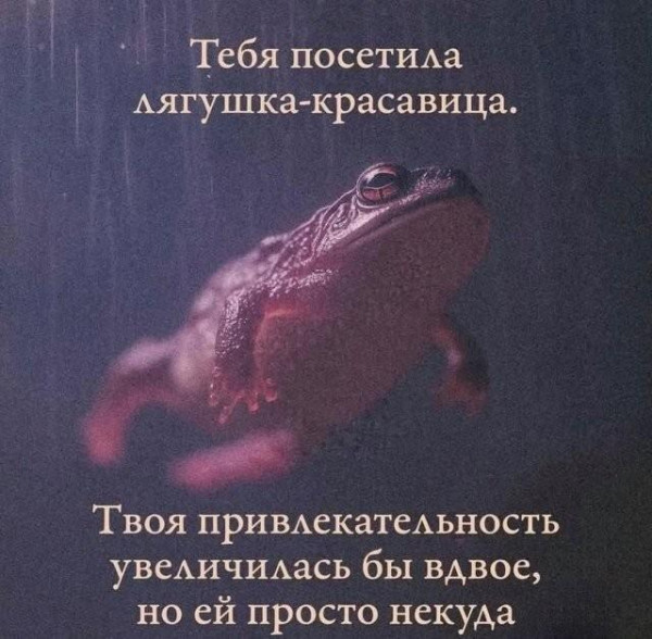 Мем, Bassplayer Мем, Bassplayer
