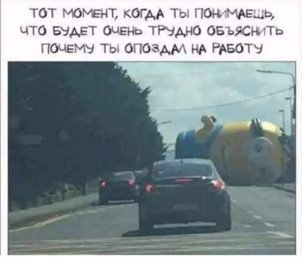 Мем, Bassplayer Мем, Bassplayer