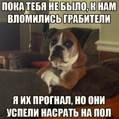 Мем, Meggi