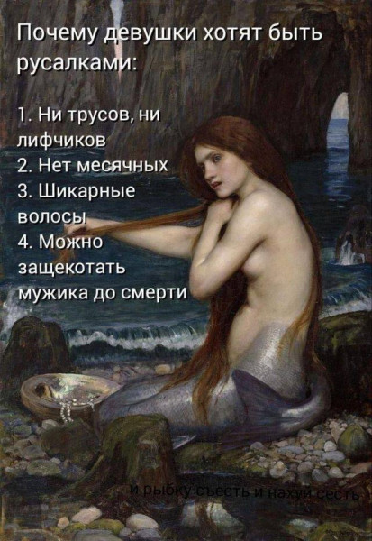 Мем, Антиклептократ Мем, Антиклептократ