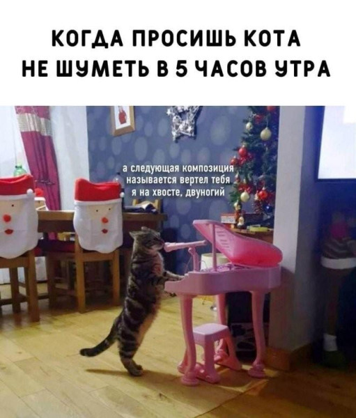 Мем, Антиклептократ Мем, Антиклептократ