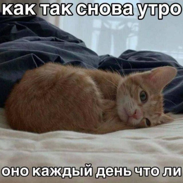Мем, Антиклептократ