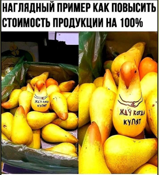 Мем, Bassplayer Мем, Bassplayer