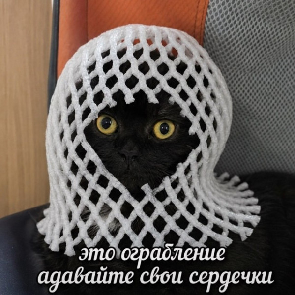 Мем, Bassplayer Мем, Bassplayer