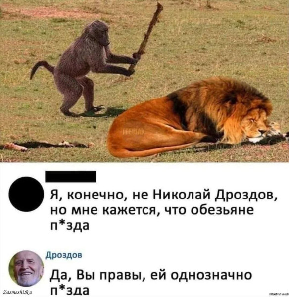 Мем, Правдоруб Адекват Мем, Правдоруб Адекват
