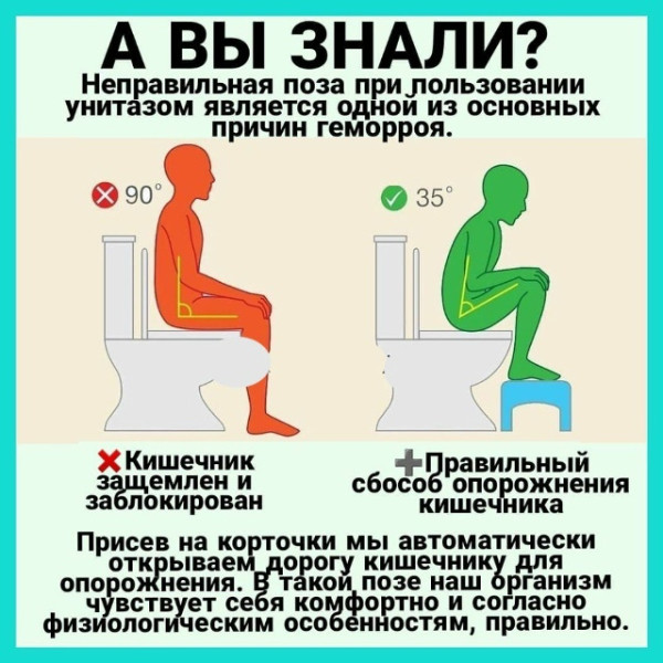 Мем: как правильно какать, Александр Вулых Мем: как правильно какать, Александр Вулых