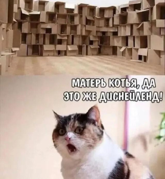 Мем, Антиклептократ Мем, Антиклептократ