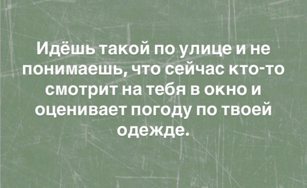 Мем, Bassplayer Мем, Bassplayer