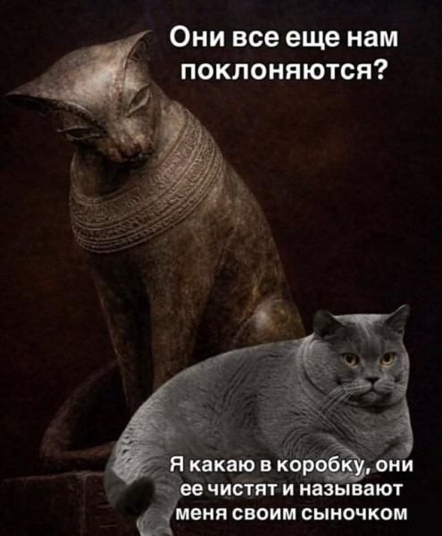 Мем: всё ещё, её, Антиклептократ