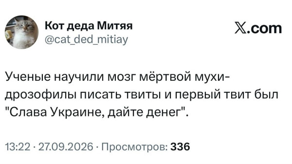 Мем, Максим Камерер Мем, Максим Камерер