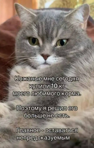 Мем, Hendry Мем, Hendry