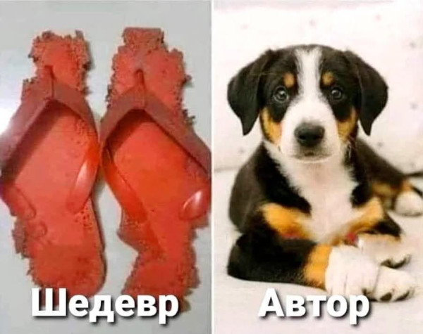 Мем, Рысь Мем, Рысь