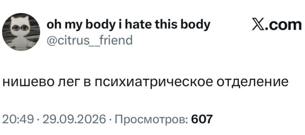 Мем, Bassplayer Мем, Bassplayer
