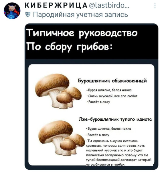 Мем, Ashmedai Мем, Ashmedai