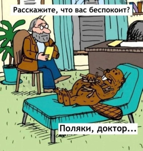 Мем, Bassplayer Мем, Bassplayer