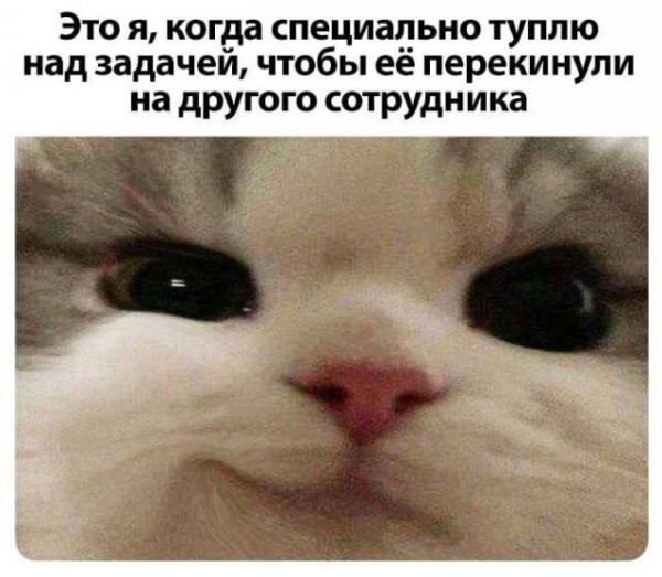 Мем, Bassplayer Мем, Bassplayer